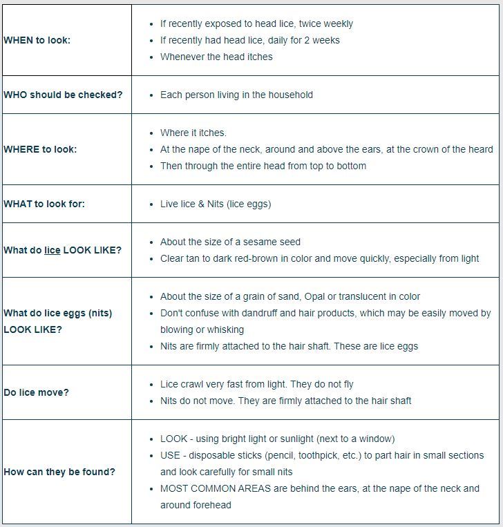 Checking your child for head lice guide 